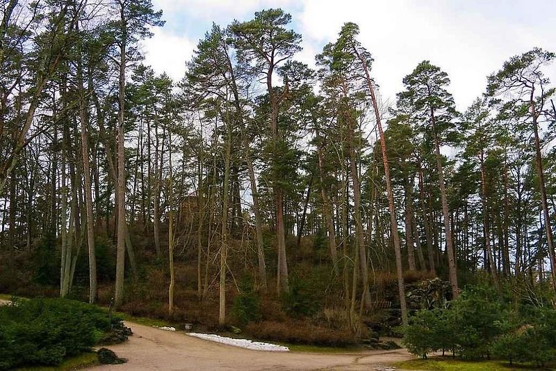 Pláž v letovisku Palanga je dlouhá necelých 20 kilometrů.