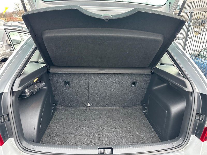 Škoda Rapid (2015) 1.4TSi DSG,NAVI,KAMERA, 100%KM - fotka 17 z 17
