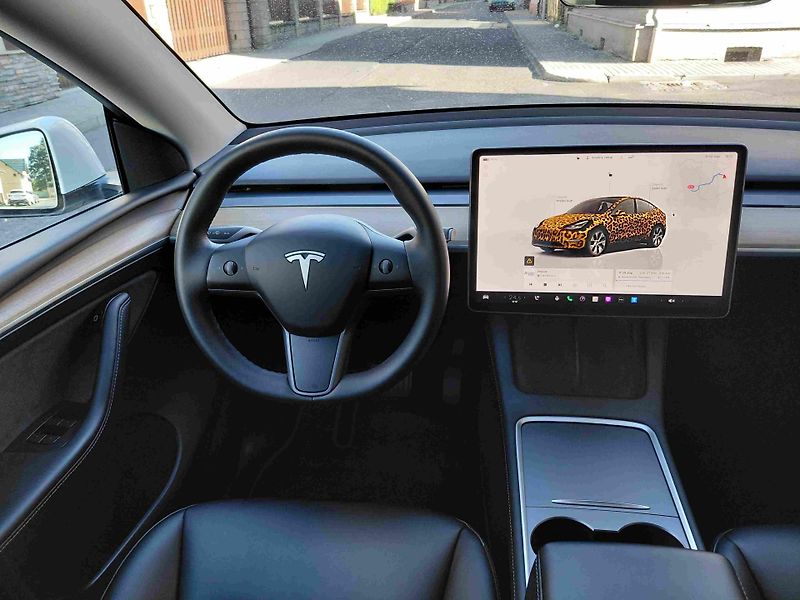 Tesla Model Y (2022) AWD Long Range  ACC  LED  NAVI - fotka 12 z 16