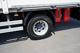 DAF LF (2022) 260 / E 6 / ACC / BURTOFIRANKA - náhled 20