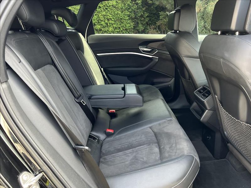 Audi e-tron 50 Quattro Proline Limited - fotka 18 z 38