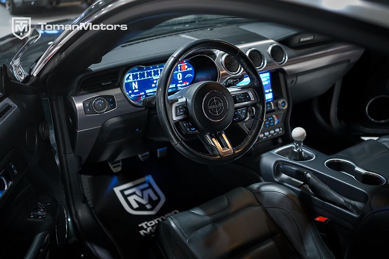 Ford Mustang (2019) Bullitt, Man, RECARO, DPH odpo - fotka 9 z 23