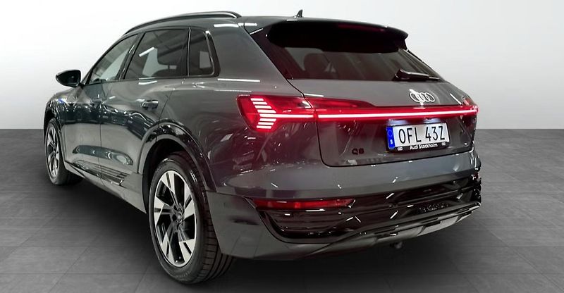 Audi Q8 e-tron 50 Q Kamera Ambient Vzduch LED - fotka 3 z 14