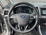 Ford S-MAX (2021) 2.0 Ecoblue 110kW, ČR, 1.maj, - náhled 10