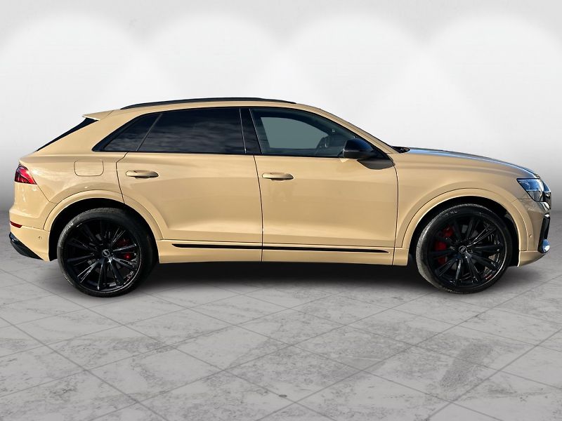 Audi Q8 60 TFSIe PHEV 250kW Quattro So - fotka 7 z 22