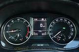 Škoda Fabia 1,2TSi DSG 2xALU 61tKM STYLE  - náhled 30