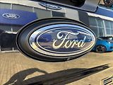 Ford Ranger 3,0 EcoBlue 177kW V6 Wildtrak - náhled 13