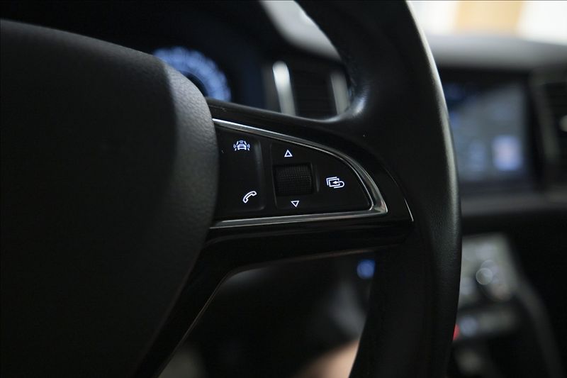 Škoda Kodiaq 2,0 TDI DSG 4x4 NAVI KŮŽE PANO - fotka 19 z 33