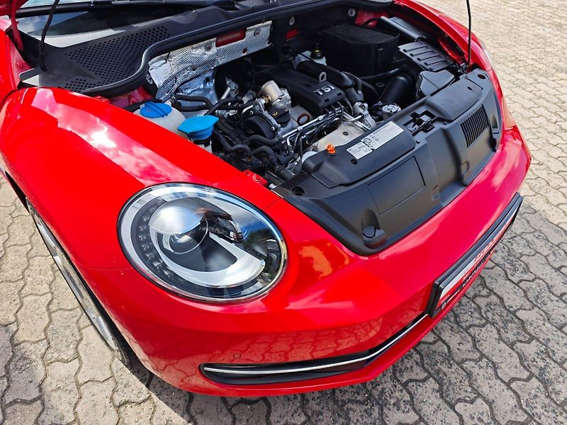 Volkswagen Beetle (2012) 1.2 TSI Design REZERVACE - fotka 25 z 34
