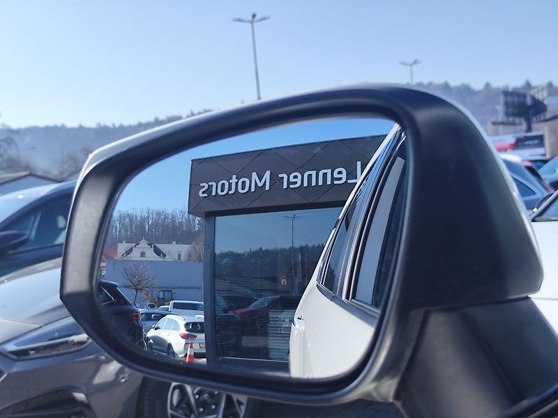 Toyota RAV4 2.5 HEV/163kW Executive e-CVT - fotka 18 z 35