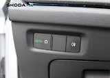 Škoda Octavia (2024) Top Selection 2.0TDI / 110kW 7 - náhled 12