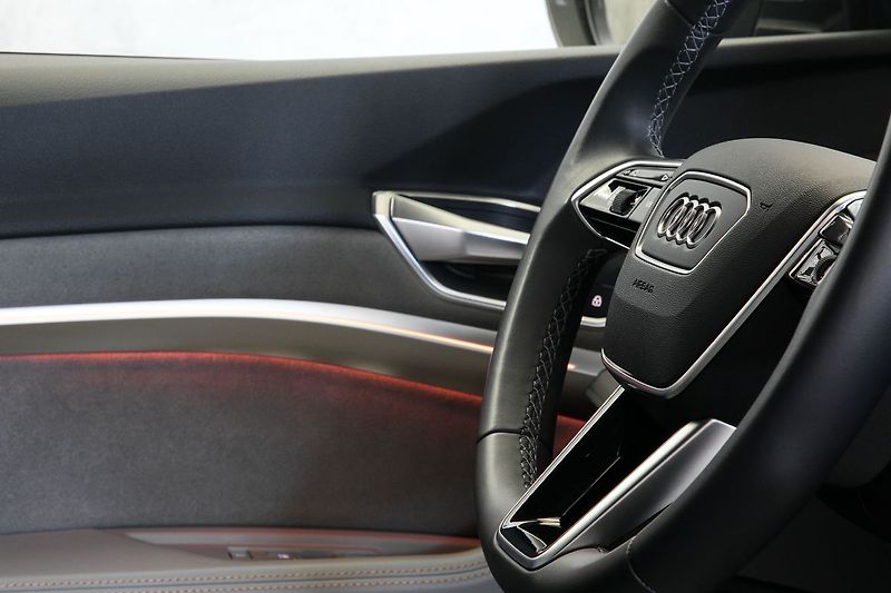 Audi e-tron 55 300kW Matrix Softclose HUD - fotka 19 z 44