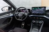 Škoda Kodiaq RS 2.0 TSI 195kW ZÁRUKA*DPH* - náhled 8