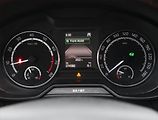 Škoda Octavia (2015) RS 2.0 TSI, Automat - náhled 11