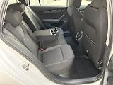 Škoda Octavia 1.5 TSI  Ambition   Plus - náhled 24