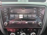 Škoda Octavia (2019) 2.0TDI, DSG, navi, LED - náhled 11
