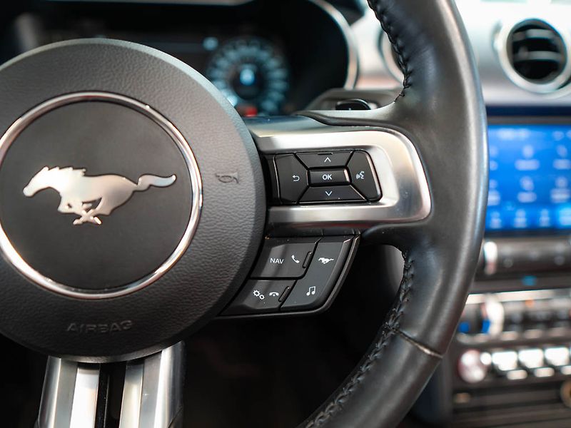 Ford Mustang (2019) 5.0 GT Premium Convertible - fotka 18 z 31
