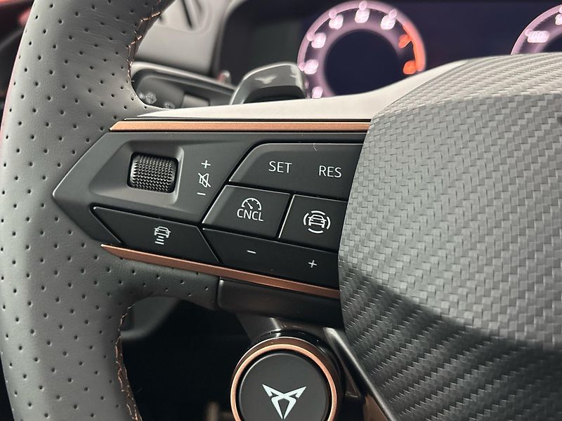 Cupra Terramar (2026) SUV - fotka 23 z 29