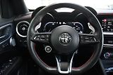Alfa Romeo Stelvio 2.2 JTDm Competizione Q4 - náhled 22