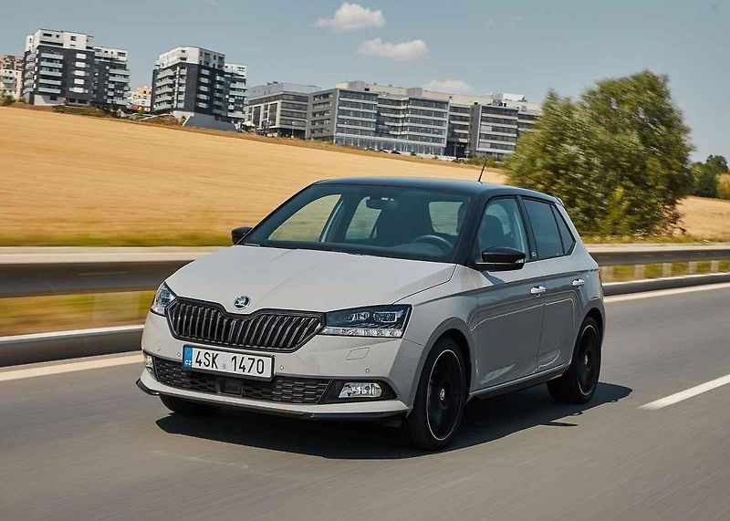 Škoda Scala uspěla jako kompaktní rodinné auto roku 2019.
