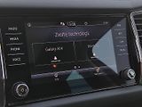 Škoda Kodiaq (2022) Ambition 2,0 Tdi 110 Kw DSg Pa - náhled 10