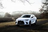Lexus RX 450h plus 450h+ 2,5 PHEV F SPORT DESIGN - náhled 1