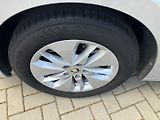 Škoda Octavia (2023) 2.0TDI 110kW DSG 4X4 EL.TZ - náhled 30