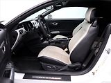 Ford Mustang 5,0 Ti-VCT 310kW V8 GT Aut. - náhled 11