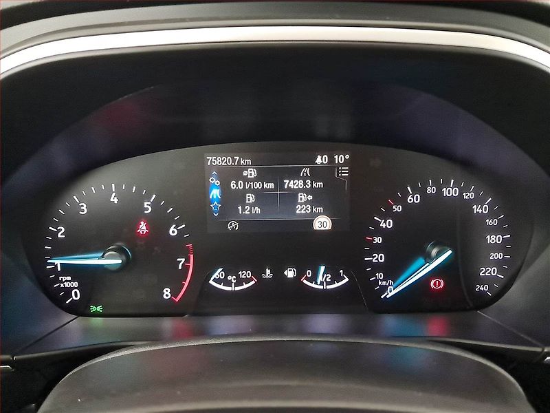 Ford Focus (2019) 1.0 EcoBoost, ČR,1.maj, Navi - fotka 11 z 20
