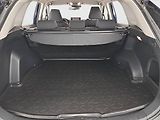 Toyota RAV4 (2020) 2.5 Hybrid - náhled 14