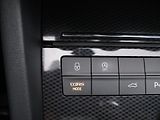 Škoda Octavia RS 2,0 TSI 169kW DSG 1.Maj. - náhled 23