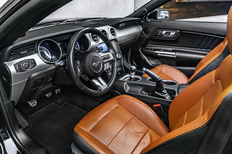 Ford Mustang OV,Ko 5,0 GT Kabrio, Manual - fotka 13 z 20