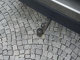 Land Rover Range Rover (2021) D300*VOGUE*50000KM*ZÁR*1M*CZ!! - náhled 49
