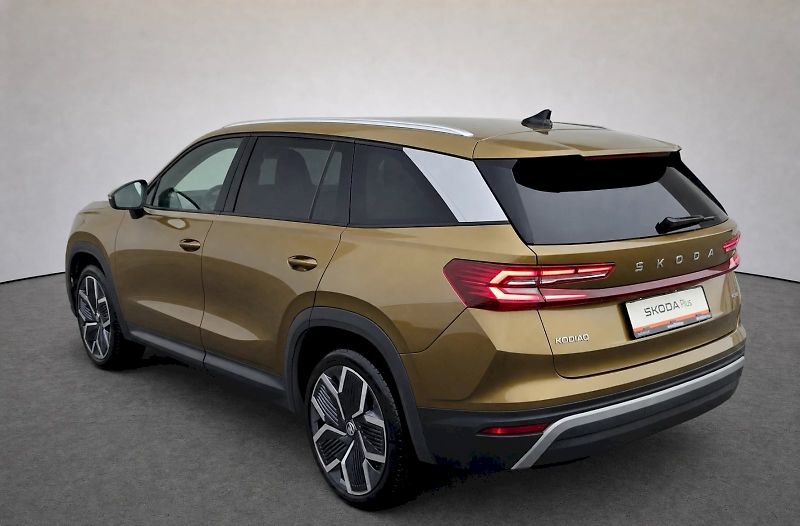 Škoda Kodiaq (2024) Top Selection 2,0 Tdi 142 Kw 4 - fotka 39 z 43