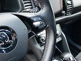 Škoda Kodiaq RS 2.0TDI 176kW 4x4 DSG CZ - náhled 20