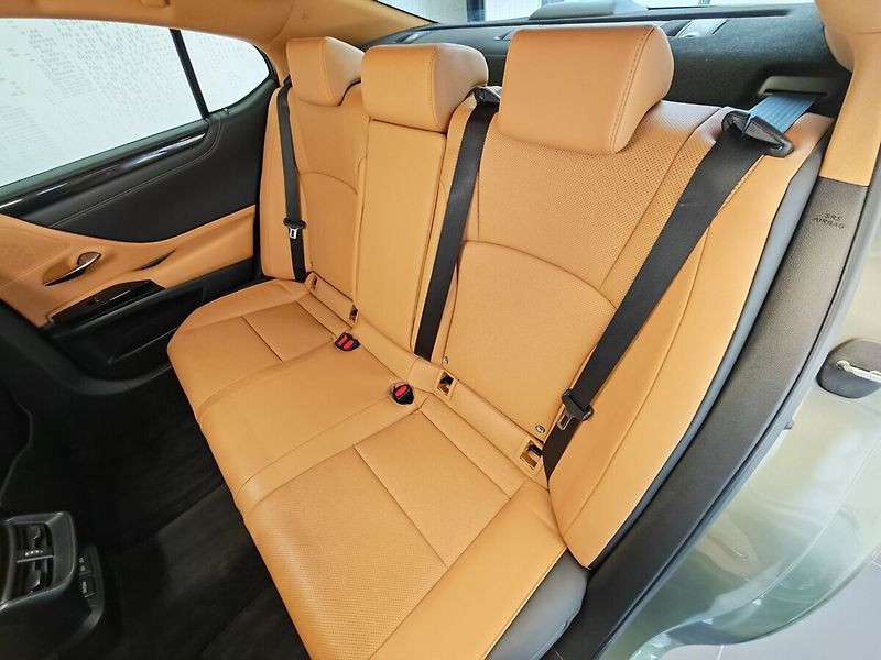 Lexus ES 300h Limited Edition - fotka 14 z 37