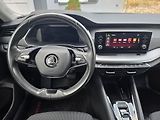 Škoda Octavia (2022) 2.0TDI AMBITION DSG ČR 1.MAJ - náhled 11