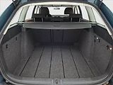 Škoda Octavia (2008) 1.9 TDI, po STK, dobrý stav - náhled 13