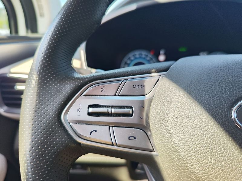Hyundai Santa Fe 2.2 CRDI/142kW Luxury DCT 4x4 - fotka 30 z 41