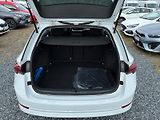 Škoda Octavia (2023) STYLE 1.5TSI 110kW CZ DPH - náhled 6