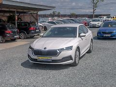 Škoda Octavia (2023) 2.0TDI 85KW – NOVÉ V ČR - fotografie inzerátu