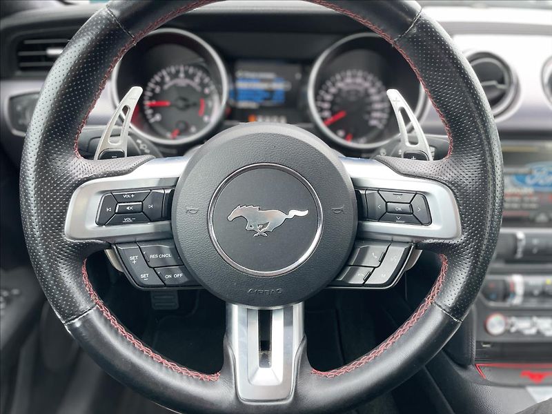 Ford Mustang 2,3 EcoBoost/AUTOMAT - fotka 10 z 23