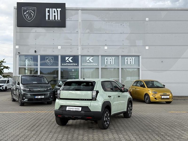 Fiat Grande Panda (2026) Icon 1.2 Turbo 100k - fotka 5 z 24