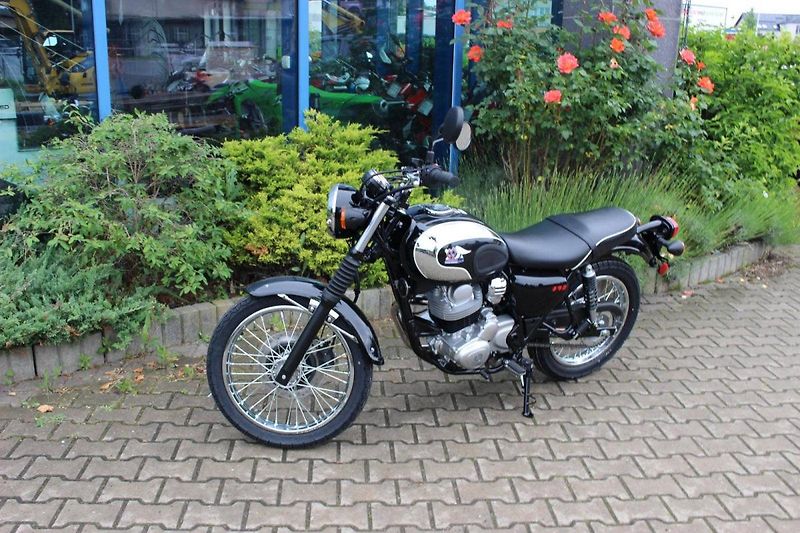 Kawasaki (2025) W 230 MEGURO S1 2025 SKLADEM - fotka 6 z 9