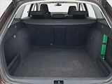 Škoda Octavia (2020) Style 2.0 TDI, Automat, Navi - náhled 14