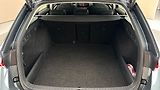 Škoda Octavia 2.0 TDI DSG 4x4 Scout Combi - náhled 17