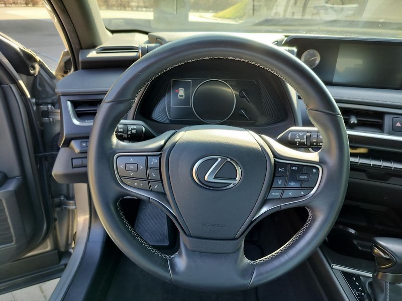 Lexus UX 250h BUSINESS edition,alcantara - fotka 13 z 25