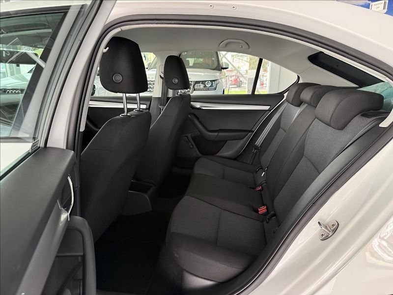 Škoda Octavia 1,6   TDI 66kW,SERVISKA,2.MAJ, - fotka 20 z 23