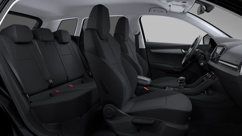 Škoda Karoq (2027) 1,5 TSI 110 kW  Easy - fotka 10 z 11