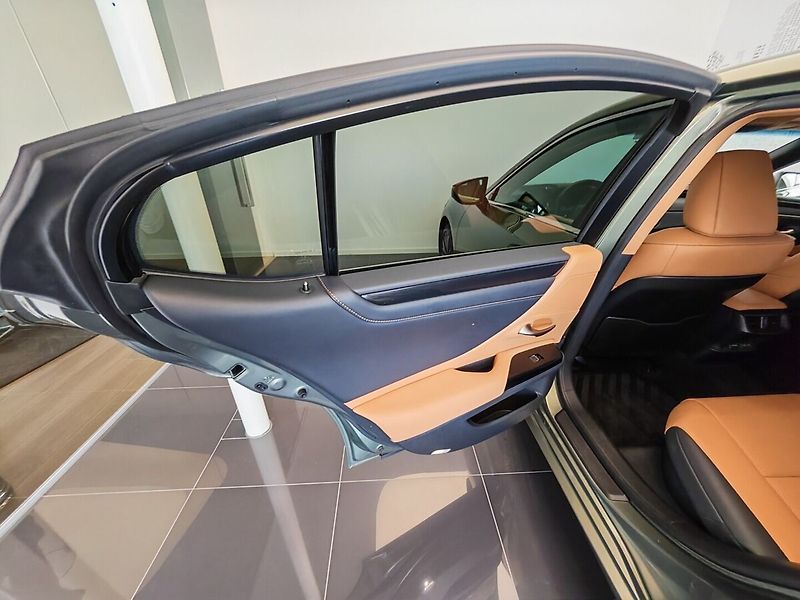 Lexus ES 300h Limited Edition - fotka 19 z 37